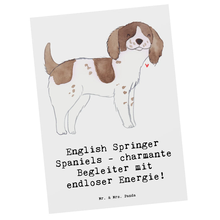 Postkarte English Springer Spaniel Charme