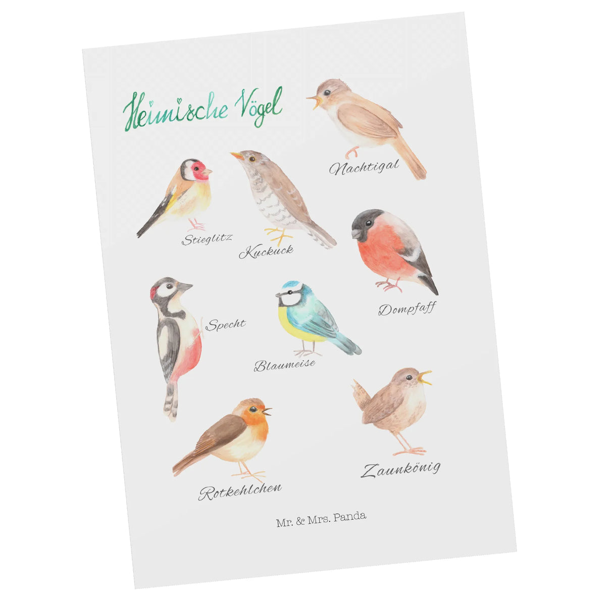 Postkarte Heimische Vögel spruchkarte, Motivkarte, Kunstkarten, kunstkarte, bildkarte, Postkarten, Ansichtskarten, Ansichtskarte, Grußkarte, Postkarte, Designkarte, einzelkarte, Fotokarte, Dekoration, Abenteuer, Natur, Outdoor, Blumen Deko, Frühlings Deko, Sommer Deko, positive Botschaft, Naturliebhaber, Heimische Vögel, Vögel