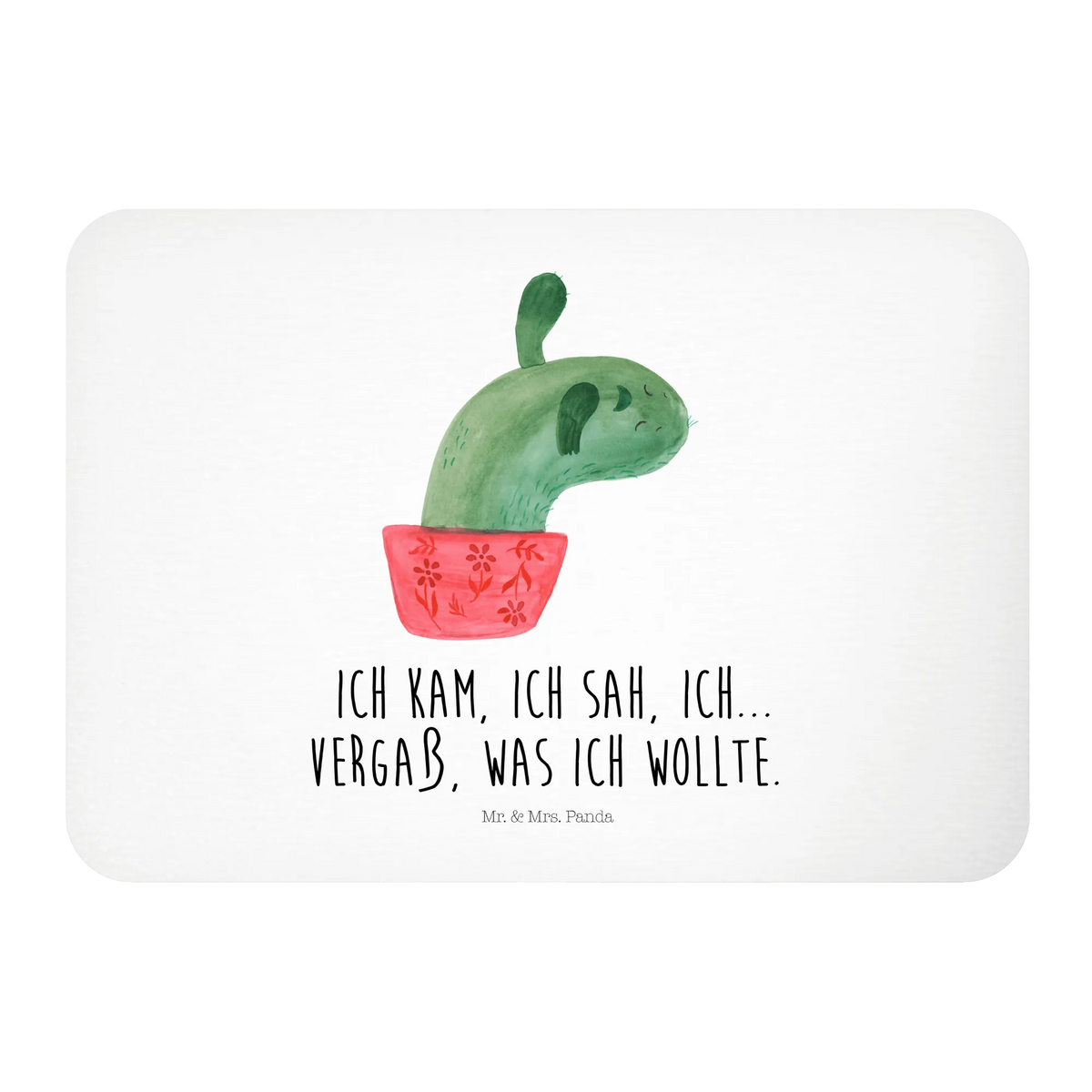 Magnet cactus mummy cactus, cactuses, plants, cactus plant, small green cactus, quota, cacti, annoyance, cactus love, school, office life