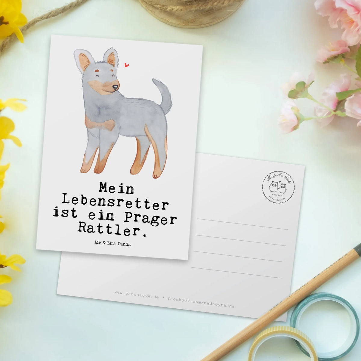 Postkarte Prager Rattler Lebensretter Ansichtskarten, bildkarte, Kunstkarten, kunstkarte, spruchkarte, Grußkarte, Postkarte, Ansichtskarte, Designkarte, Fotokarte, Motivkarte, Postkarten, einzelkarte, Schenken, Hunderasse, Rassehund, Geschenk, Hundebesitzer, Tierfreund, Welpe, Hund, Prager Rattler, Pincher