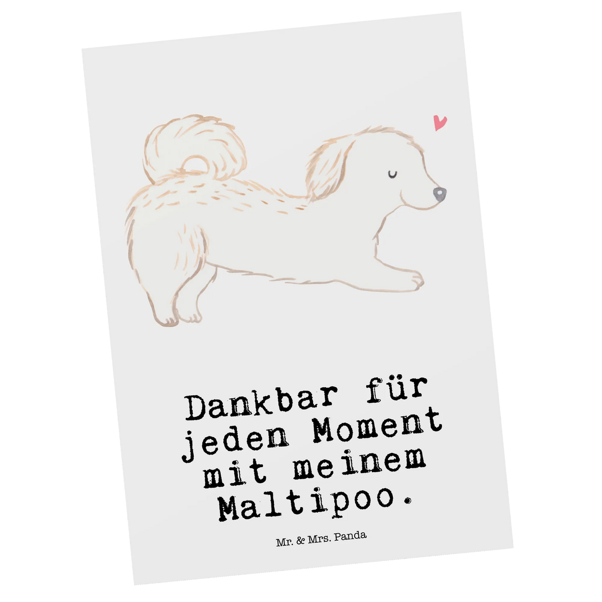 Postkarte Maltipoo Moment spruchkarte, Kunstkarten, einzelkarte, Postkarte, Fotokarte, Postkarten, Designkarte, kunstkarte, Motivkarte, Grußkarte, Ansichtskarte, bildkarte, Ansichtskarten, Geschenk, Schenken, Hund, Hunderasse, Rassehund, Hundebesitzer, Tierfreund, Welpe, Maltipoo, Kreuzung, Mischling