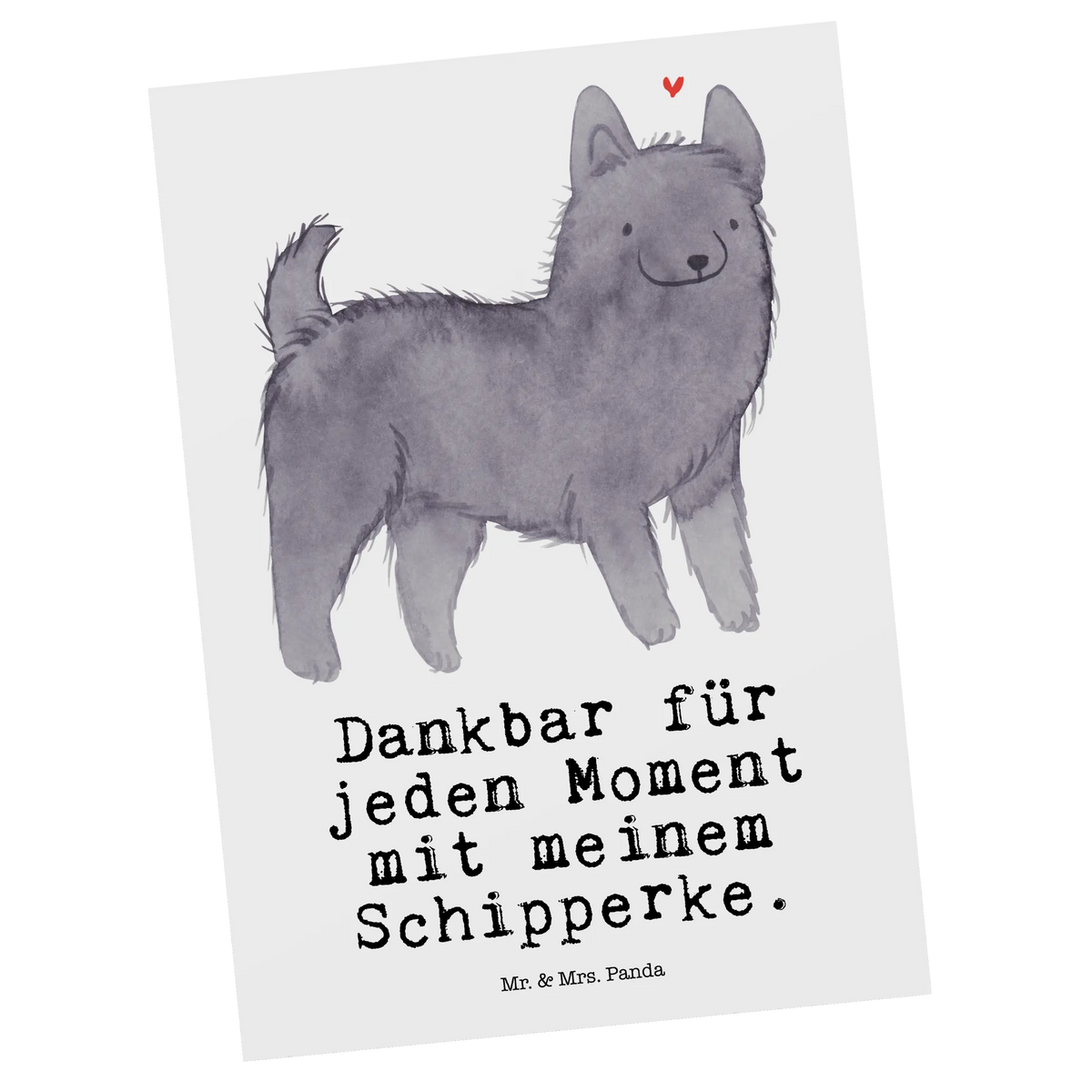 Postkarte Schipperke Moment Fotokarte, Ansichtskarte, Designkarte, Kunstkarten, spruchkarte, kunstkarte, Grußkarte, Motivkarte, Postkarten, bildkarte, einzelkarte, Postkarte, Ansichtskarten, Geschenk, Schenken, Hund, Hunderasse, Rassehund, Hundebesitzer, Tierfreund, Welpe, Belgische Hunderasse, Schipperke
