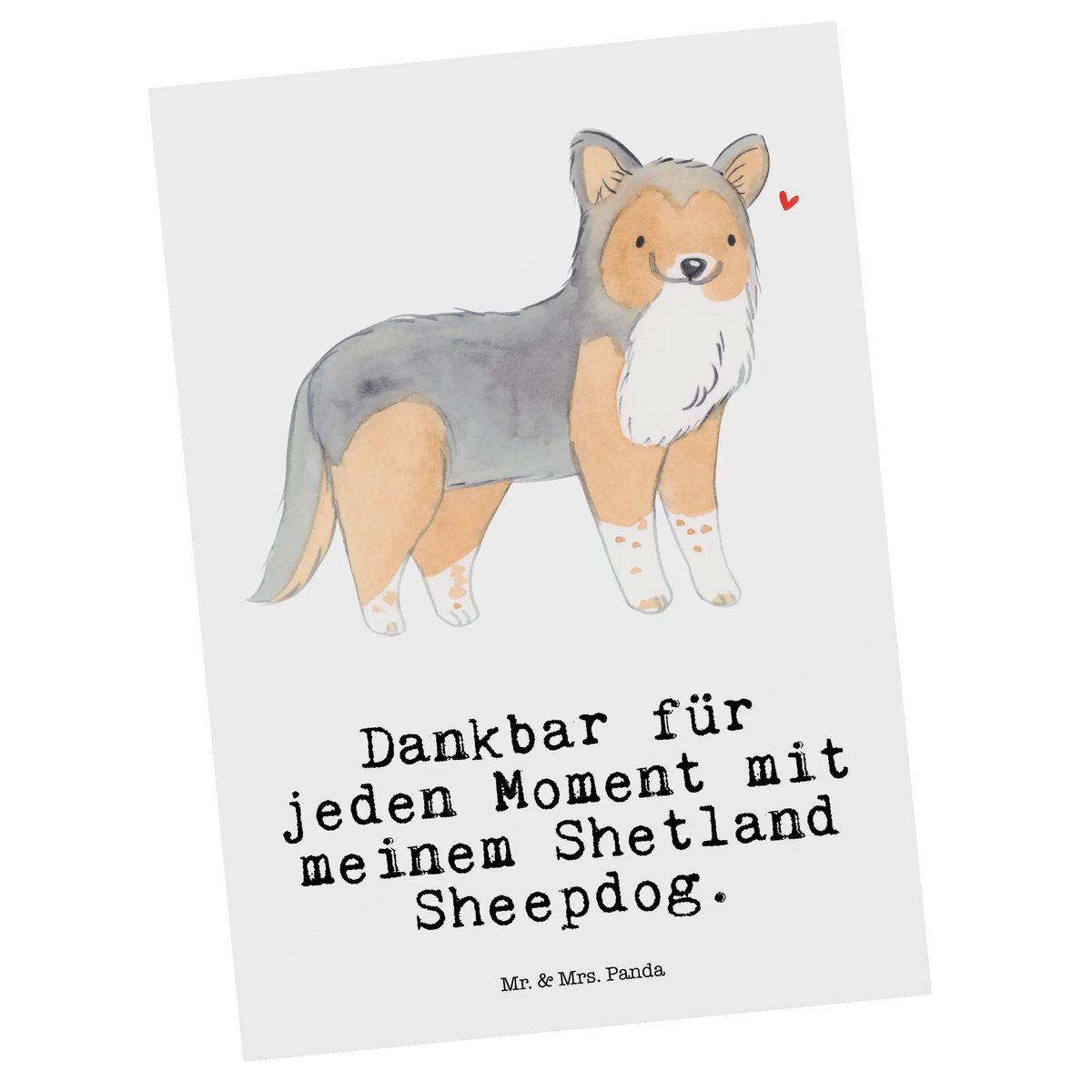 Postkarte Shetland Sheepdog Moment