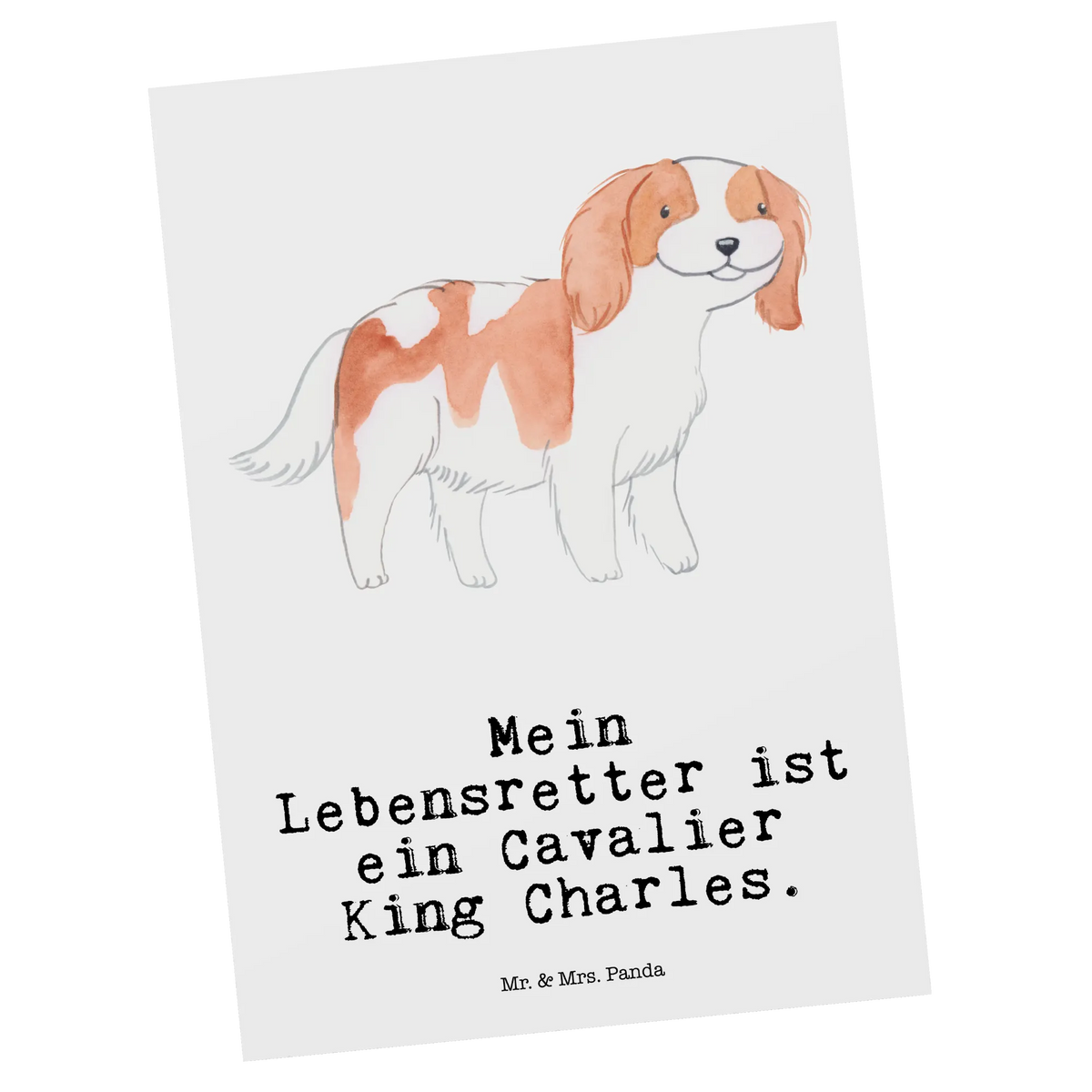 Postkarte Cavalier King Charles Spaniel Lebensretter Ansichtskarte, bildkarte, einzelkarte, Designkarte, Grußkarte, Kunstkarten, Motivkarte, spruchkarte, Ansichtskarten, kunstkarte, Fotokarte, Postkarten, Postkarte, Geschenk, Schenken, Hund, Hunderasse, Rassehund, Hundebesitzer, Tierfreund, Welpe, Cavalier King Charles Spaniel