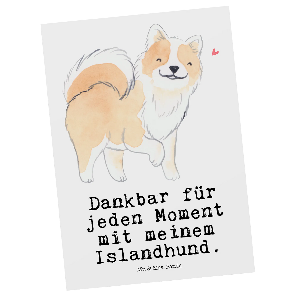 Postkarte Islandhund Moment Kunstkarten, bildkarte, Postkarte, spruchkarte, Ansichtskarte, einzelkarte, Ansichtskarten, Grußkarte, Fotokarte, Designkarte, Postkarten, kunstkarte, Motivkarte, Geschenk, Schenken, Hund, Hunderasse, Rassehund, Hundebesitzer, Tierfreund, Welpe, Islandhund, Isländischer Schäferhund