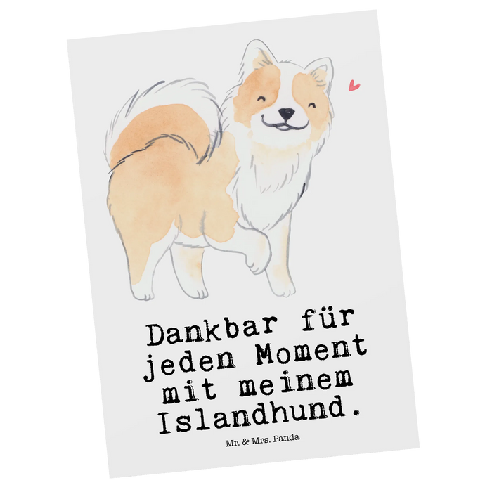 Postkarte Islandhund Moment