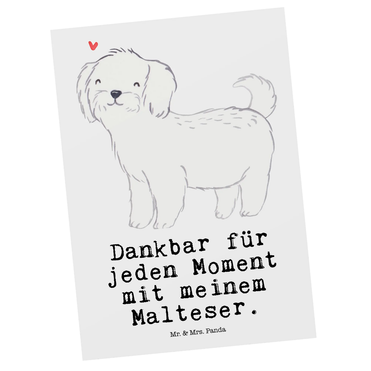 Postkarte Malteser Moment Kunstkarten, einzelkarte, Fotokarte, Motivkarte, bildkarte, spruchkarte, Postkarten, kunstkarte, Ansichtskarten, Grußkarte, Postkarte, Ansichtskarte, Designkarte, Geschenk, Schenken, Hund, Hunderasse, Rassehund, Hundebesitzer, Tierfreund, Welpe, Malteser
