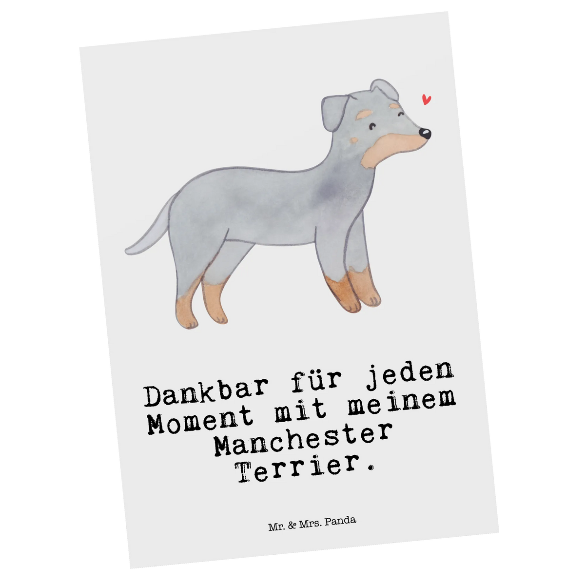 Postkarte Manchester Terrier Moment Ansichtskarte, Grußkarte, bildkarte, Kunstkarten, Motivkarte, Postkarte, Designkarte, Postkarten, kunstkarte, Ansichtskarten, spruchkarte, einzelkarte, Fotokarte, Geschenk, Schenken, Hund, Hunderasse, Rassehund, Hundebesitzer, Tierfreund, Welpe, Manchester Terrier