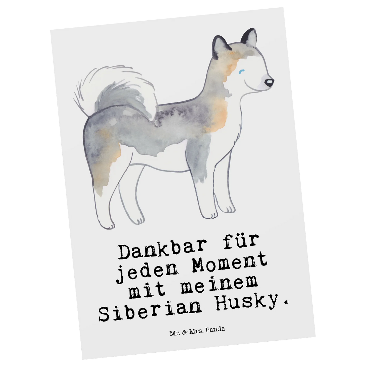 Postkarte Siberian Husky Moment Postkarten, Motivkarte, Ansichtskarten, Designkarte, spruchkarte, Postkarte, bildkarte, Kunstkarten, einzelkarte, kunstkarte, Ansichtskarte, Grußkarte, Fotokarte, Geschenk, Schenken, Hund, Hunderasse, Rassehund, Hundebesitzer, Tierfreund, Welpe, Siberian Husky