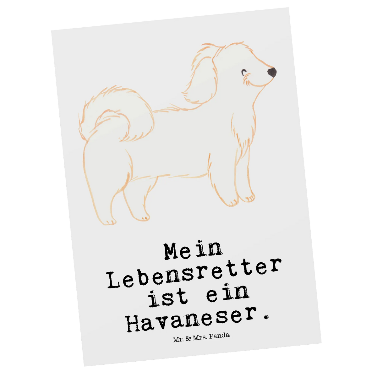 Postkarte Havaneser Lebensretter Grußkarte, Ansichtskarte, bildkarte, spruchkarte, kunstkarte, Motivkarte, Ansichtskarten, Kunstkarten, Postkarten, Postkarte, Fotokarte, Designkarte, einzelkarte, Geschenk, Schenken, Hund, Hunderasse, Rassehund, Hundebesitzer, Tierfreund, Welpe, Bichón Habanero, Havaneser, Bichon Havanais, Havi