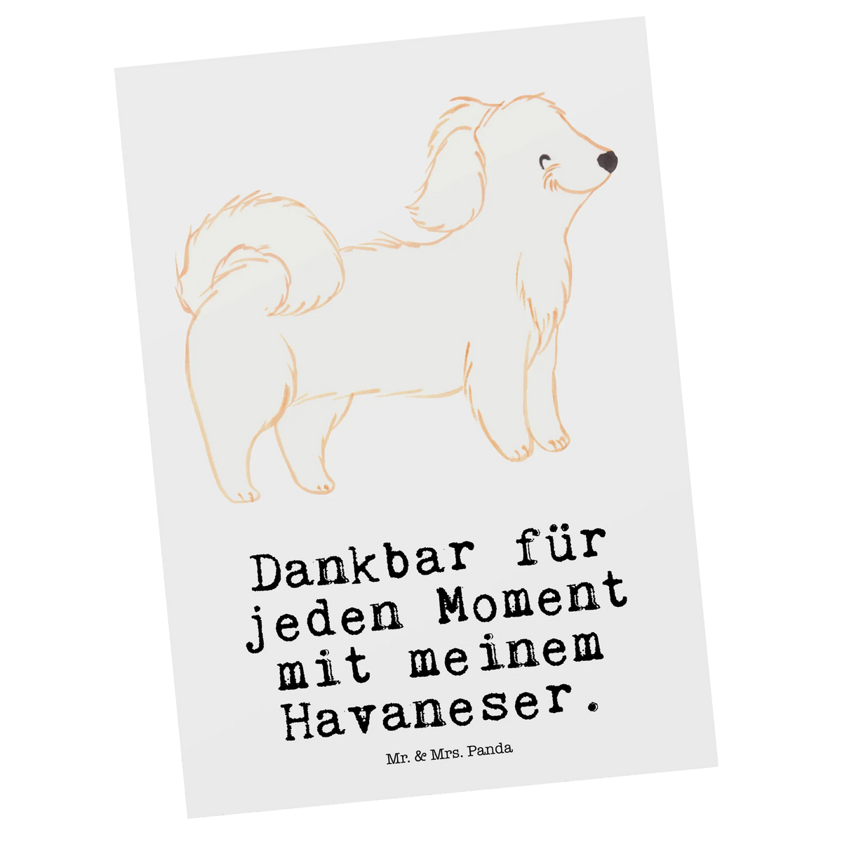 Postkarte Havaneser Moment bildkarte, Fotokarte, Kunstkarten, Motivkarte, Ansichtskarte, Designkarte, Postkarten, Postkarte, Grußkarte, Ansichtskarten, einzelkarte, kunstkarte, spruchkarte, Geschenk, Schenken, Hund, Hunderasse, Rassehund, Hundebesitzer, Tierfreund, Welpe, Havaneser, Bichón Habanero, Havi, Bichon Havanais