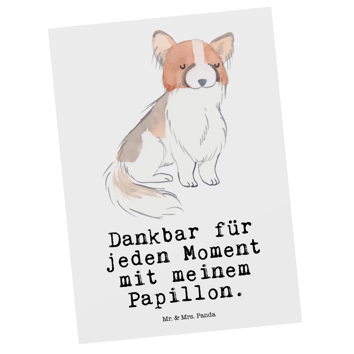 Postkarte Papillon Moment Grußkarte, Designkarte, Kunstkarten, Postkarte, spruchkarte, Postkarten, Ansichtskarten, bildkarte, Fotokarte, Motivkarte, kunstkarte, einzelkarte, Ansichtskarte, Geschenk, Schenken, Hund, Hunderasse, Rassehund, Hundebesitzer, Tierfreund, Welpe, Papillon, Kontinentaler Zwergspaniel