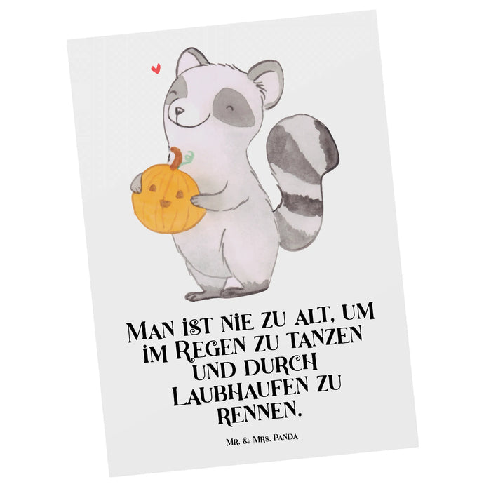 Postkarte Waschbär Kürbis