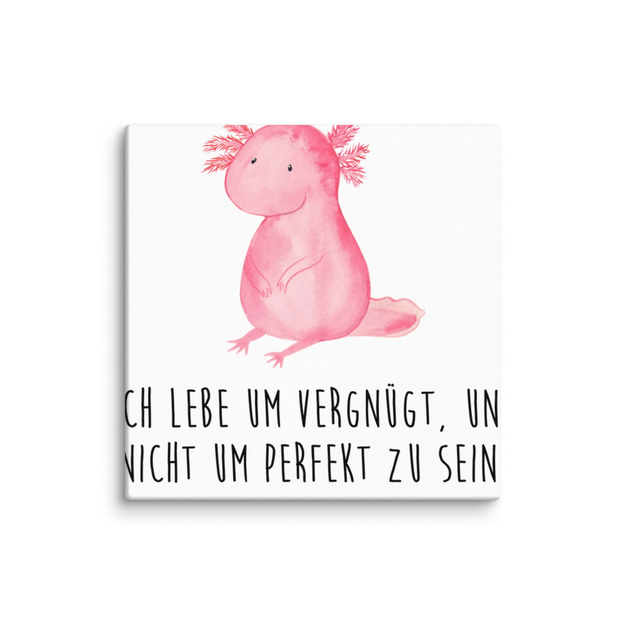 Leinwand Bild Axolotl Niedlich Leinwand, Kunstdruck, Molch, Axolotl, Axolot, Liebe, Lebensweisheit, Fröhlich, Lebensstil, Freundin, Weisheit, Vergnügt, Zufrieden
