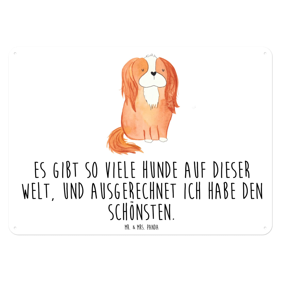 Blechschild Hund Cavalier King Charles Spaniel