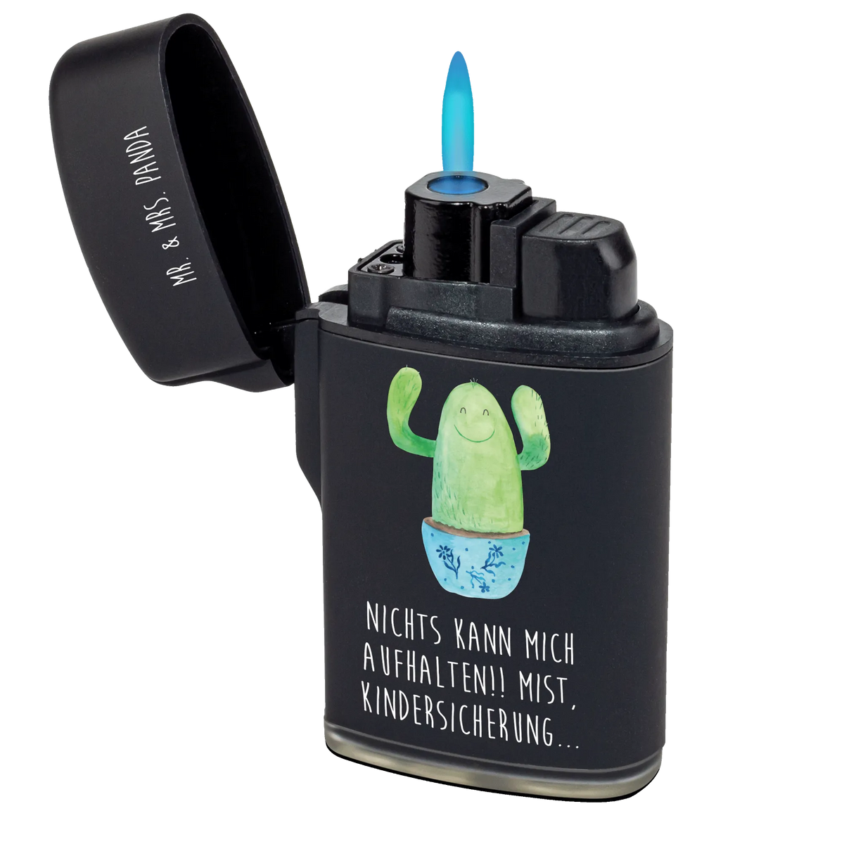 Lighter cactus happy cactus, cactuses, plants, cactus plant, small green cactus, office life, new start, mother, education, saying, colleague, cacti, child protection, friend