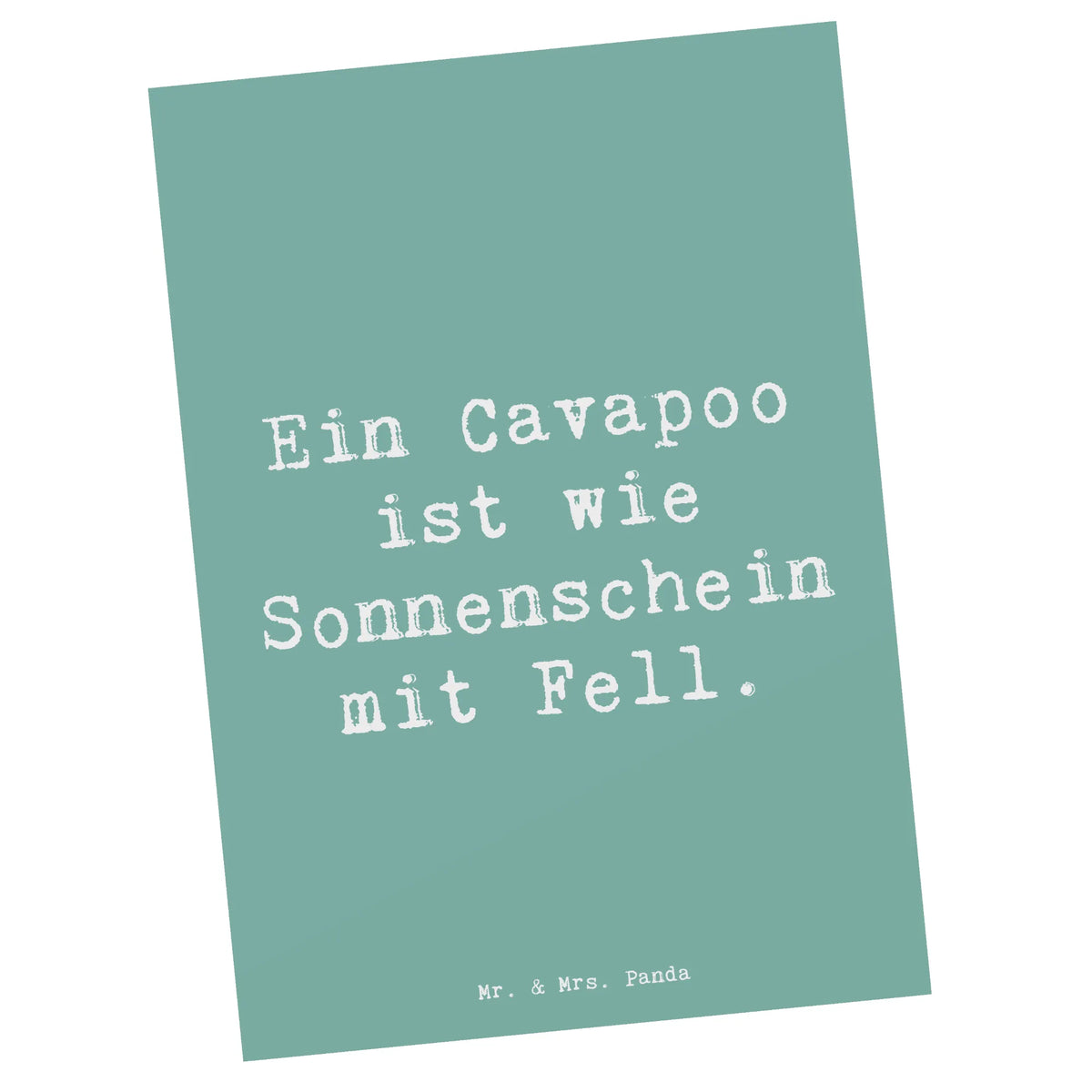 Postkarte Spruch Cavapoo Sonnenschein Postkarten, Motivkarte, Grußkarte, Fotokarte, kunstkarte, Kunstkarten, Ansichtskarten, Postkarte, bildkarte, einzelkarte, Ansichtskarte, spruchkarte, Designkarte, Schenken, Welpe, Tierfreund, Hund, Hundebesitzer, Rassehund, Hunderasse, Geschenk