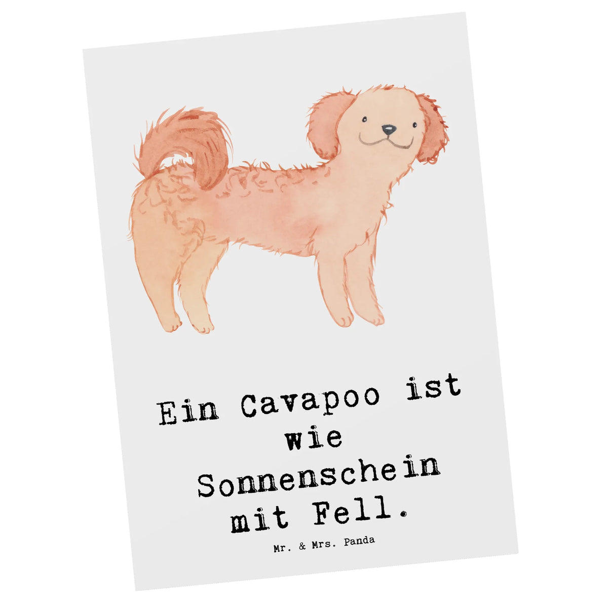 Postkarte Cavapoo Sonnenschein spruchkarte, Ansichtskarten, Grußkarte, Fotokarte, Ansichtskarte, Postkarte, Postkarten, Designkarte, bildkarte, Kunstkarten, einzelkarte, Motivkarte, kunstkarte, Geschenk, Schenken, Hund, Hunderasse, Rassehund, Hundebesitzer, Tierfreund, Welpe
