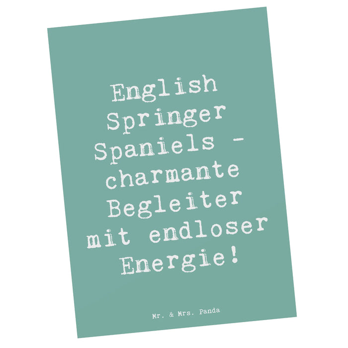 Postkarte Spruch English Springer Spaniel Charme