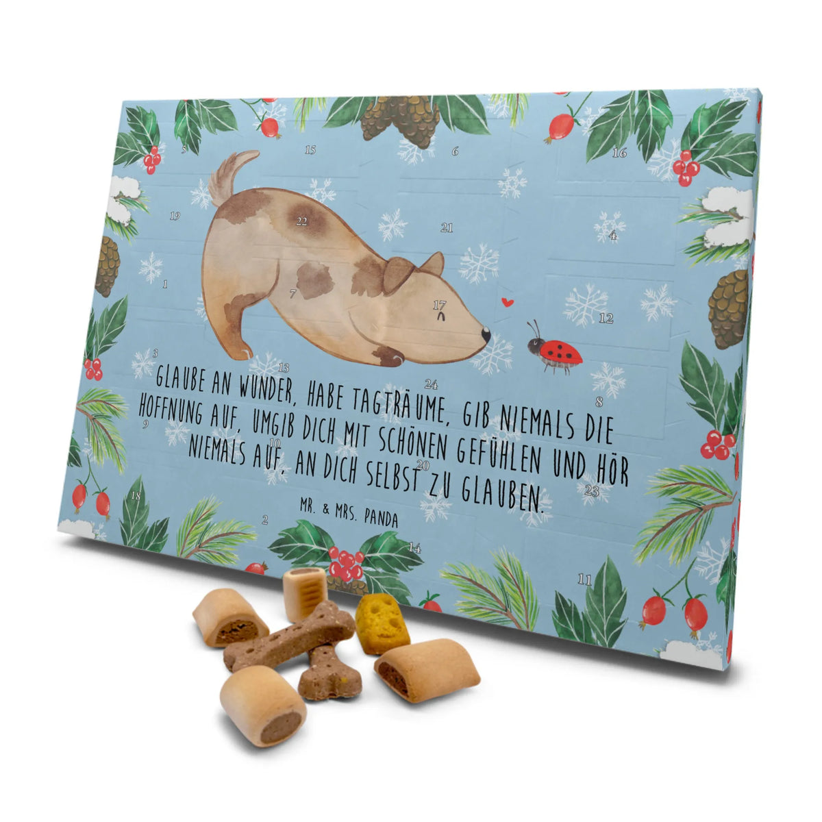 Hunde Adventskalender Hund Marienkäfer|p:1808932|h:5755f0badecbc48a36cf03ec948798d1