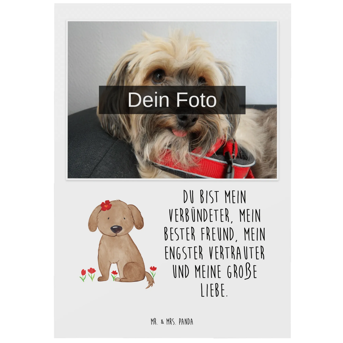 Personalisierte Foto Postkarte Hund Dame grußkarte mit foto, Foto Grußkarte, Fotokarte, Postkarte mit Foto, Fotogrußkarte, Fotopostkarte, Personalisierte Foto Postkarte, Foto Postkarte, personalisierte fotokarte, Postkarte Foto, Sprüche, Hund, Hunderasse, Hundebesitzer, Hundemotiv, Haustier, Tierliebhaber, Hundeglück, Hunde, Frauchen, Liebe, Hundeliebe