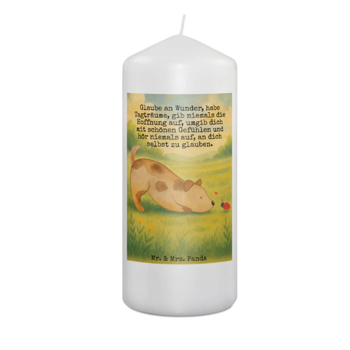 Candle Dog ladybug Design woof, dog decorative items, love for dogs, bag with dog print, mutt, dog breed, what do you give a dog lover, love dogs, funny gifts for dog owners, hound, dog sayings, dog mama, gifts for dogs, Christmas gifts for dogs, Dogs, Ladybird, Mongrel, Sayings, Dog slogan, Mongrel dog