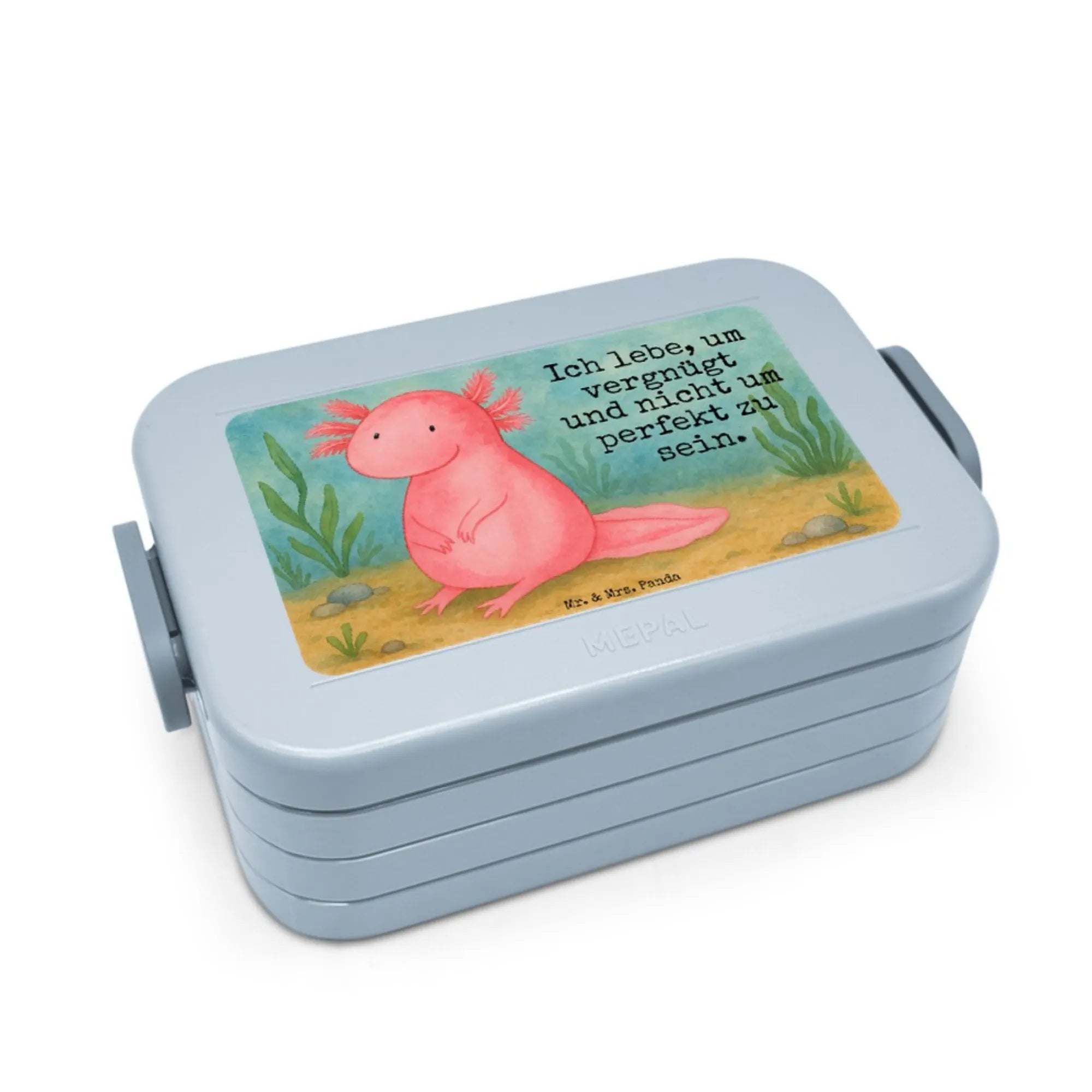 aksolotl null Design Snackbox, Snackdose, Frischhaltedose, Jausenbox, Bento-Brotdose, Bentobox, Essensbox, Lebensmittelbehälter, Lunchbox, Essensbehälter, Meal Prep Box, Bento Box, Vesperbox, Axolotl, Molch, Weisheit, Axolot, Vergnügt, Fröhlich, Zufrieden, Freundin, Liebe, Lebensweisheit, Lebensstil