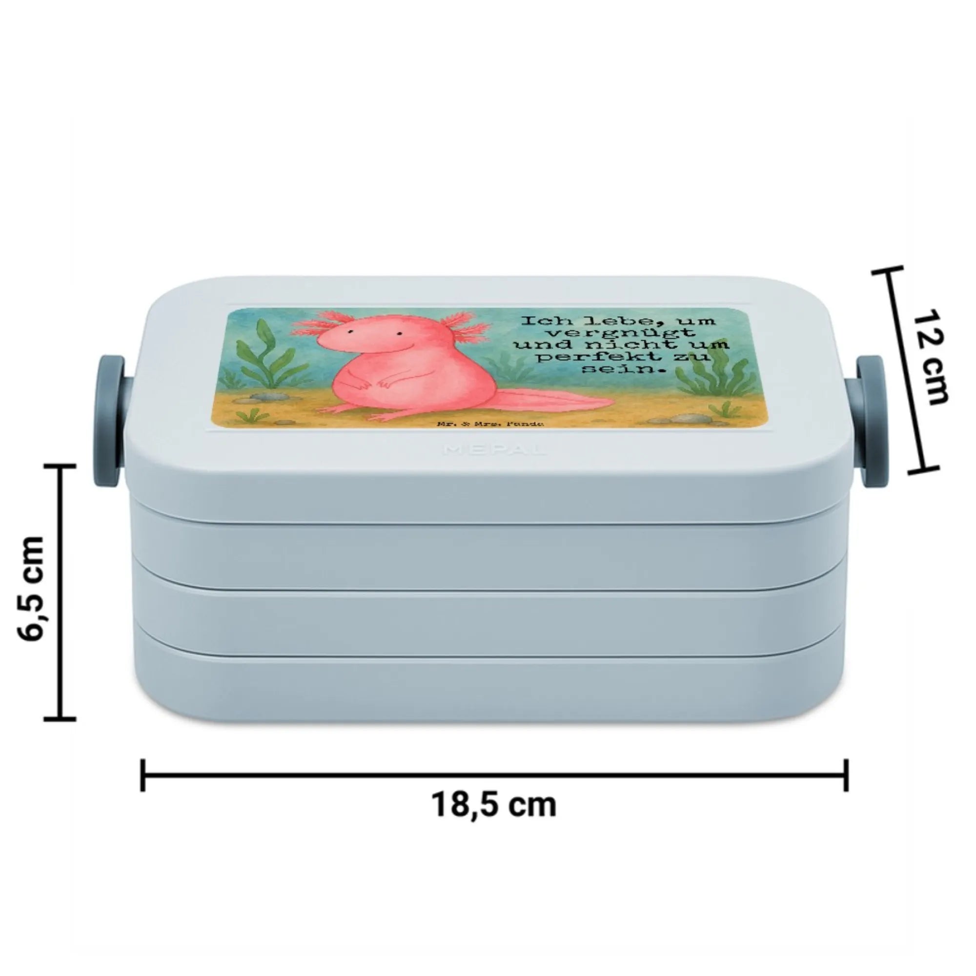 aksolotl null Design Snackbox, Snackdose, Frischhaltedose, Jausenbox, Bento-Brotdose, Bentobox, Essensbox, Lebensmittelbehälter, Lunchbox, Essensbehälter, Meal Prep Box, Bento Box, Vesperbox, Axolotl, Molch, Weisheit, Axolot, Vergnügt, Fröhlich, Zufrieden, Freundin, Liebe, Lebensweisheit, Lebensstil