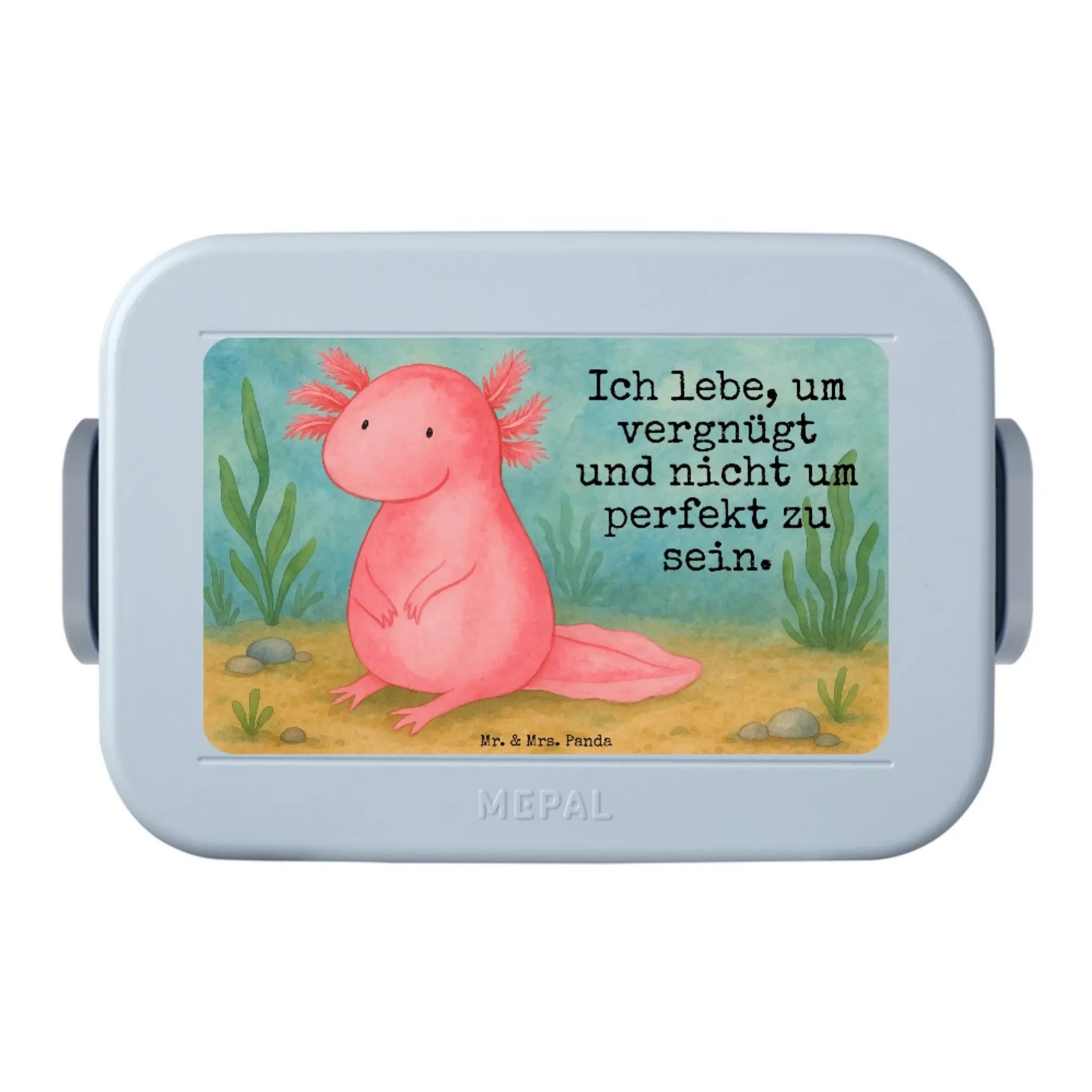 aksolotl null Design Snackbox, Snackdose, Frischhaltedose, Jausenbox, Bento-Brotdose, Bentobox, Essensbox, Lebensmittelbehälter, Lunchbox, Essensbehälter, Meal Prep Box, Bento Box, Vesperbox, Axolotl, Molch, Weisheit, Axolot, Vergnügt, Fröhlich, Zufrieden, Freundin, Liebe, Lebensweisheit, Lebensstil