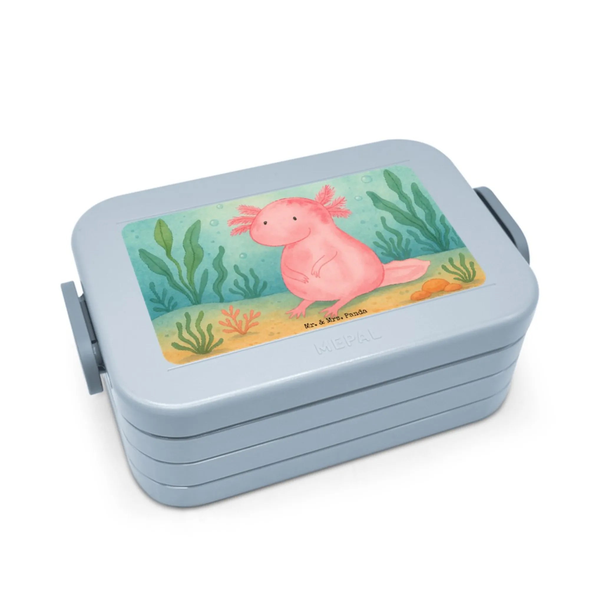 aksolotl null Design Snackbox, Snackdose, Frischhaltedose, Jausenbox, Bento-Brotdose, Bentobox, Essensbox, Lebensmittelbehälter, Lunchbox, Essensbehälter, Meal Prep Box, Bento Box, Vesperbox, Axolotl, Molch, Weisheit, Axolot, Vergnügt, Fröhlich, Zufrieden, Freundin, Liebe, Lebensweisheit, Lebensstil