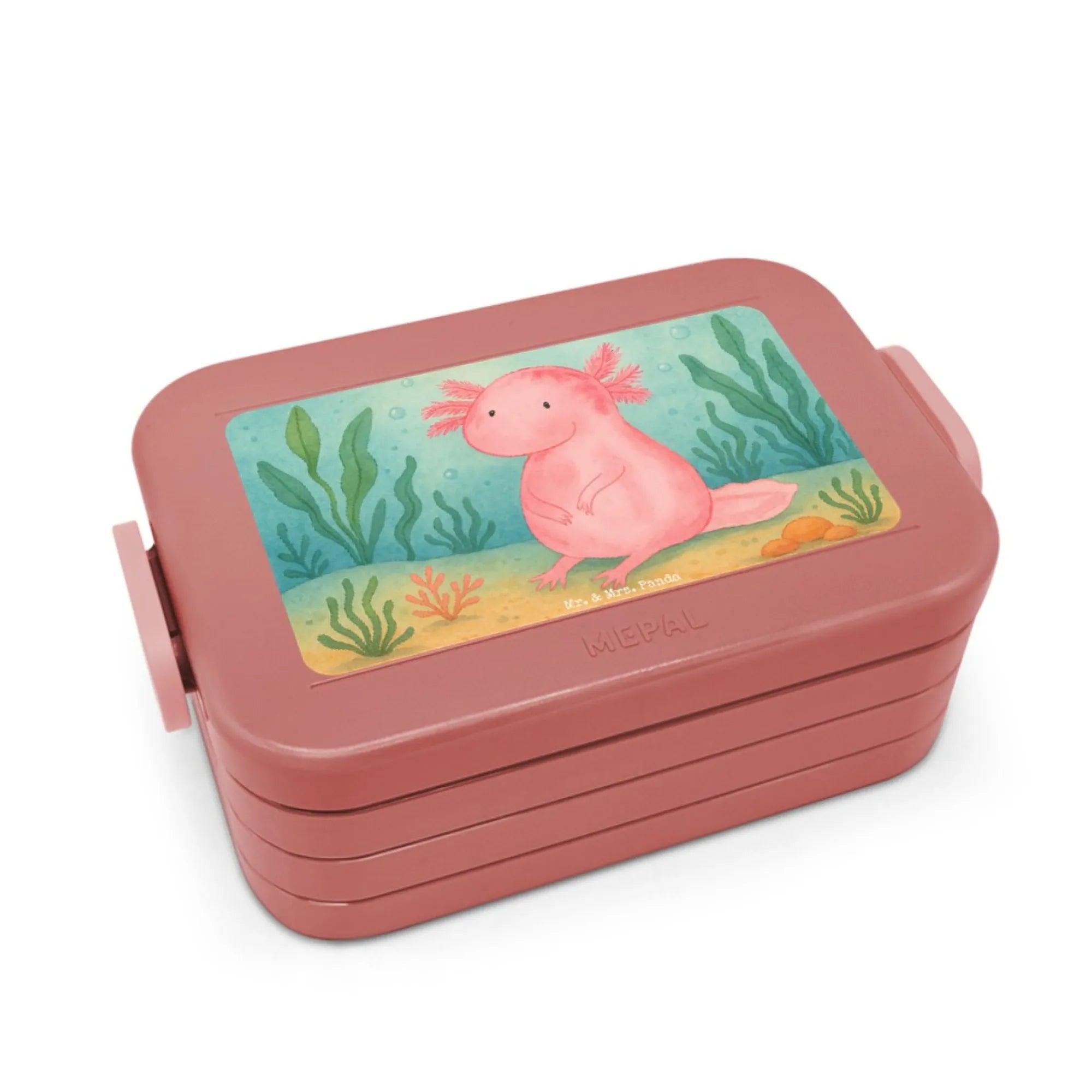 aksolotl null Design Snackbox, Snackdose, Frischhaltedose, Jausenbox, Bento-Brotdose, Bentobox, Essensbox, Lebensmittelbehälter, Lunchbox, Essensbehälter, Meal Prep Box, Bento Box, Vesperbox, Axolotl, Molch, Weisheit, Axolot, Vergnügt, Fröhlich, Zufrieden, Freundin, Liebe, Lebensweisheit, Lebensstil
