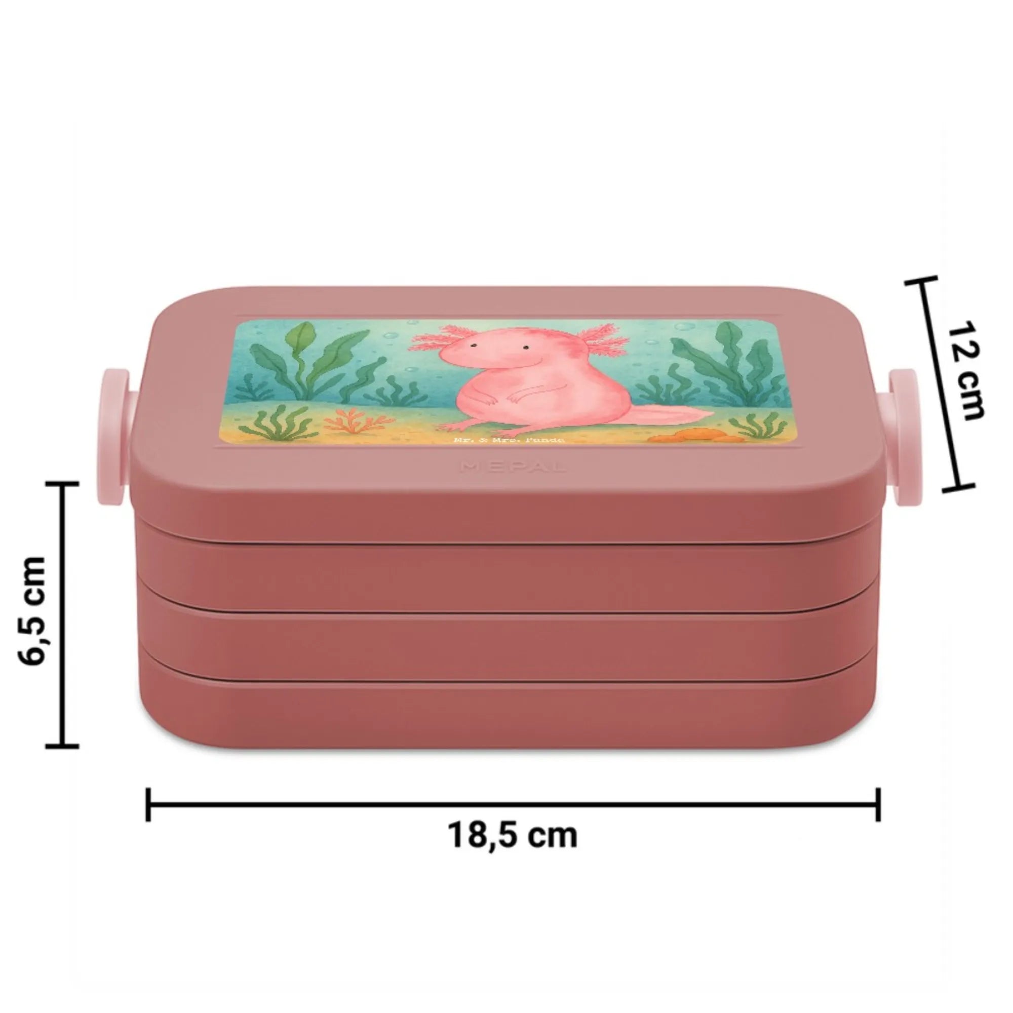aksolotl null Design Snackbox, Snackdose, Frischhaltedose, Jausenbox, Bento-Brotdose, Bentobox, Essensbox, Lebensmittelbehälter, Lunchbox, Essensbehälter, Meal Prep Box, Bento Box, Vesperbox, Axolotl, Molch, Weisheit, Axolot, Vergnügt, Fröhlich, Zufrieden, Freundin, Liebe, Lebensweisheit, Lebensstil