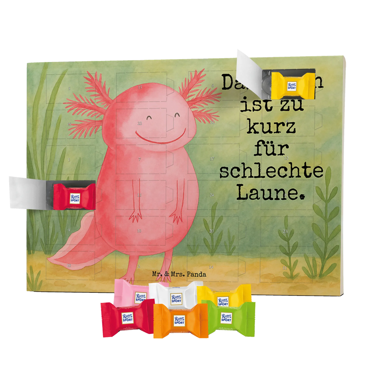 Chocolate advent calendar axolotl Happy Design Axelotl, marine animals, Mexican walking fish, salamander, good mood, tail, amphibian
