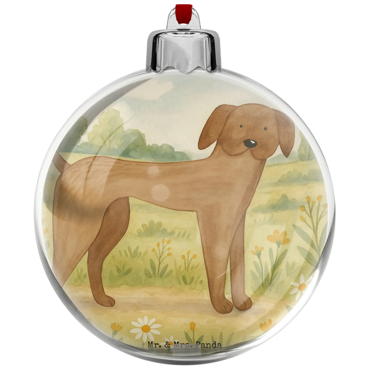 Weihnachtskugel Hund Dogge Design Christbaumanhänger, plastik weihnachtskugel, weihnachtskugel transparent, weihnachtshänger, dekohänger, Deko-Kugel Weihnachten, christbaumkugeln, kunststoffkugel, baumanhänger, Panda Weihnachtskugel, Weihnachtliche Kugel, baumkugeln, weihnachtskugeln, weihnachtsanhänger, weihnachtsbaumkugeln, baum anhänger, Weihnachtskugel Kunststoff, Weihnachtskugel, weihnachtsbaumkugel, hängekugel, weihnachtsbaum anhänger, kugel weihnachten, kunststoff weihnachtskugel, baumkugel, christbaumkugel, deko kugel, Dekokugel, Schmuckkugel, dekokugeln, christbaum anhänger, transparente weihnachtskugel, Sprüche, Hund, Hunderasse, Hundebesitzer, Hundemotiv, Haustier, Tierliebhaber, Hunde, Deutsche Dogge, Great Dane, Dogge