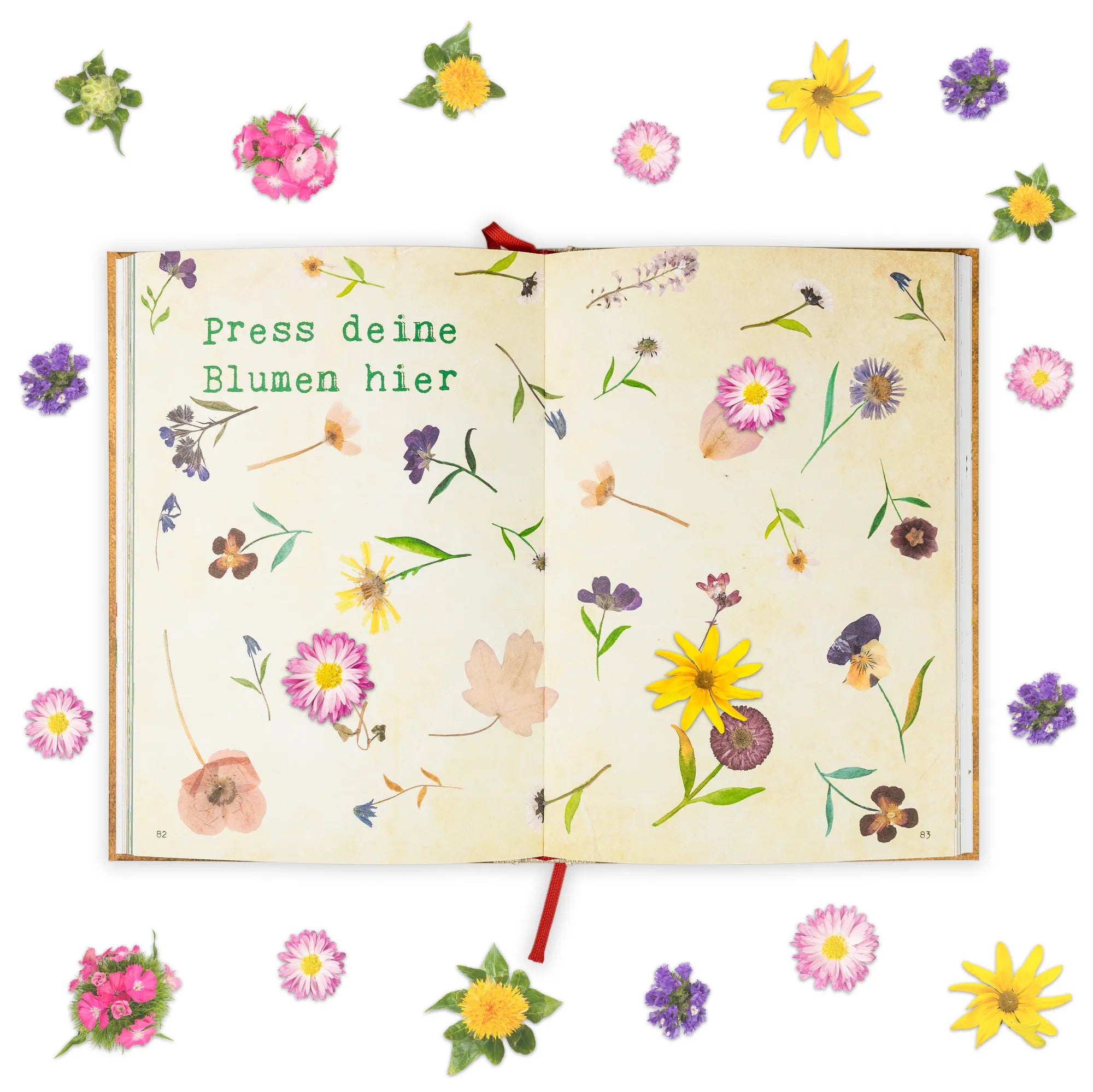 Książka Życie to przygoda Optimismus, Bücher, Bestseller Bücher (18, Motivationsbuch (880), Buchempfehlung, Geschenkbücher (720), Autorin, Abenteuerbuch (480), Lesen, 1), Buchtipp, 1k), Bestseller, Freundebuch (27, Lieblingsbuch